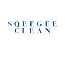 Window Cleaner